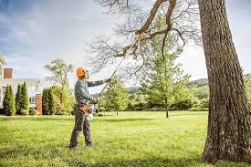 How Our Tree Care Process Works  in  Plattsburgh West, NY